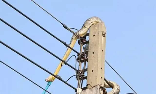Snake caused power outage in Ejisu, Kwaso