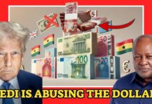 Ghana Cedi’s Comeback: Why Ghanaians Aren’t Feeling the Recovery in Tomatoes Ghana Cedis, US Dollars in the interbank market