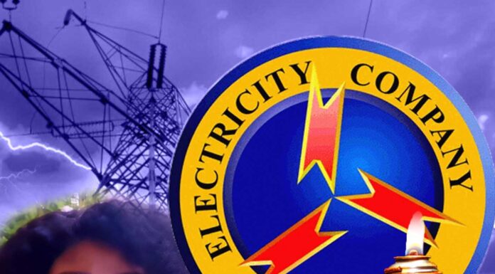 QueenLet’s TikTok ECG Power Outage Claim, Dumsor