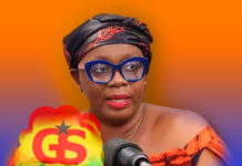 Biography of Ellen Ama Daaku, Her voice on Ghana helicopter crash arrest Ellen Ama Daaku Biography, Ghana helicopter crash arrest