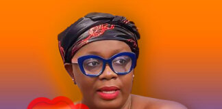 Ellen Ama Daaku Biography, Ghana helicopter crash arrest