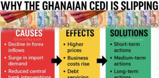 Ghana Cedis, Ghana cedi currency depreciation, Why Cedi depreciates, exchange rate 2025