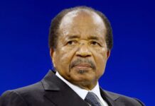 Paul Biya, Cameroon presidential election results