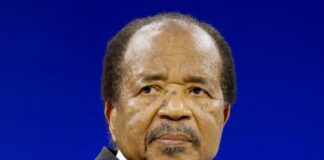 Paul Biya, Cameroon presidential election results