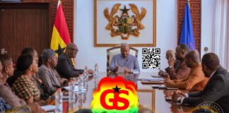 President John Mahama, Prof Henry Kwasi Prempeh, Ghana Constitutional Review Committee Report