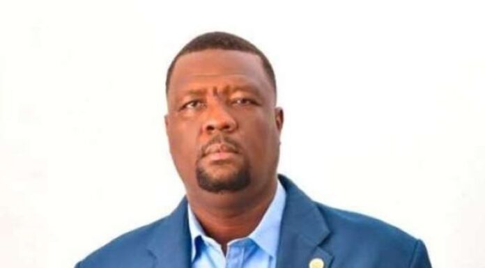 Julius Neequaye Kotey biography, CEO of DVLA Ghana